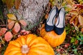 Bridal shoes with autumn pumpkins. Wedding decorations.