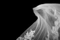 Bridal Veil on Black Background Royalty Free Stock Photo
