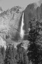 Bridalveil Fall in June - black and white photo