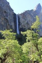 Bridalveil Fall in June