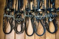 Briddles in Spanish horse riding school Royalty Free Stock Photo