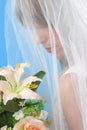 Bride Royalty Free Stock Photo