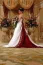 Bride Royalty Free Stock Photo