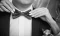 Bride adjusting the bowtie of the groom. Woman`s hands touch the tie of her betrothed, close up. Theme of the wedding, newlyweds,