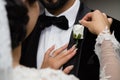 Bride Adjusting Buttonhole Royalty Free Stock Photo