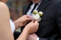 Bride adjusting groom's boutonniere Royalty Free Stock Photo