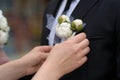 Bride adjusting groom's boutonniere Royalty Free Stock Photo