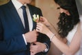 The bride adorns buttonhole wedding suit groom, wedding, celebration, flowers, groom, bride, lifestyle Royalty Free Stock Photo