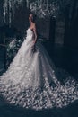 Bride from the back, romantic Beautiful bride in wedding dress with lace. The bride in an unusual butterfly dress stands with her Royalty Free Stock Photo