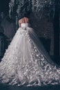 Bride from the back, romantic Beautiful bride in wedding dress with lace. The bride in an unusual butterfly dress stands with her Royalty Free Stock Photo