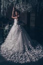 Bride from the back, romantic Beautiful bride in wedding dress with lace. The bride in an unusual butterfly dress stands with her Royalty Free Stock Photo