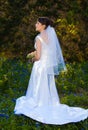 Bride in bluebonnet field