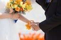 Bride and bridegroom hand in hand Royalty Free Stock Photo