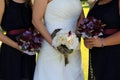 Bride and bridesmaids holding floral bouquets Royalty Free Stock Photo