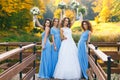 Bride with bridesmaids Royalty Free Stock Photo