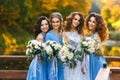 Bride with bridesmaids