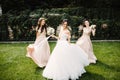 Bride with bridesmaids on the park on the wedding day