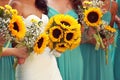 Bride and bridesmaids with sunflowers bouquet Royalty Free Stock Photo