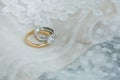 Wedding bands close up on wedding dress fabric Royalty Free Stock Photo