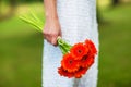 Bride in a dress standing in a green garden and holding a wedding bouquet of flowers and greenery and blur background Royalty Free Stock Photo