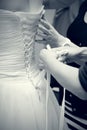 Bride dressing the wedding dress Royalty Free Stock Photo
