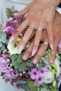 Bride fingers woman holding in hand wedding bouquet flowers with groom hands marriage rings golden Royalty Free Stock Photo