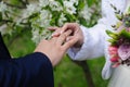 Bride gives an engagement ring to her groom. Royalty Free Stock Photo