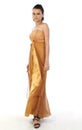 Bride with golden color long gown Royalty Free Stock Photo