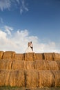 The bride and groom on the background of the sky are sitting on a large haystack Royalty Free Stock Photo