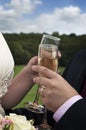 Bride and Groom with Champagne Royalty Free Stock Photo