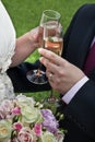 Bride and Groom with Champagne Royalty Free Stock Photo