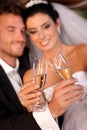 Bride and groom clinking glasses Royalty Free Stock Photo