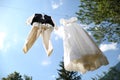 Bride and groom clothes Royalty Free Stock Photo