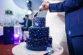 Bride and groom cut blue wedding cake. Royalty Free Stock Photo