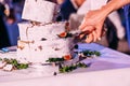 Bride and groom cut rustic wedding cake Royalty Free Stock Photo