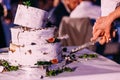 Bride and groom cut rustic wedding cake Royalty Free Stock Photo