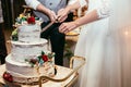 Bride and groom cut rustic wedding cake on wedding banquet with Royalty Free Stock Photo