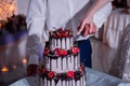 Bride and groom cut a wedding cake Royalty Free Stock Photo