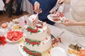 bride and groom cut wedding cake Royalty Free Stock Photo