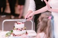 Bride and groom cut the wedding cake close up Royalty Free Stock Photo