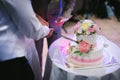 The bride and groom cut the wedding cake Royalty Free Stock Photo