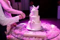 Newlywed cutting wedding cake Royalty Free Stock Photo