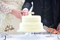 Wedding couple cutting cream coloured wedding cake Royalty Free Stock Photo
