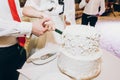 bride and groom cutting delicious wedding cake at wedding reception in restaurant, luxury catering Royalty Free Stock Photo