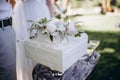 A bride and a groom is cutting their beautiful wedding cake. nicel light. wedding concept Royalty Free Stock Photo