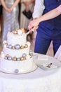 Bride and a groom is cutting their rustic wedding cake on wedding banquet. Hands cut the cake Royalty Free Stock Photo