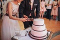 Couple Hands Cutting Wedding Cake. Happy bride and groom cut the wedding cake Royalty Free Stock Photo