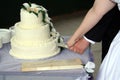 Bride and Groom Cutting Wedding Cake Royalty Free Stock Photo