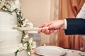 Bride and Groom Cutting the Wedding Cake