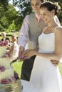 Bride And Groom Cutting Wedding Cake Royalty Free Stock Photo